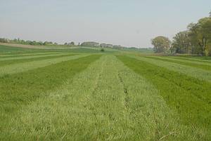 Wiese abschleppen